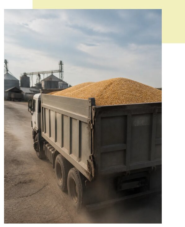 Перевозка сельхозпродукции навалом в Волгоград по цене от 3117 р. | Агросервис-Влг