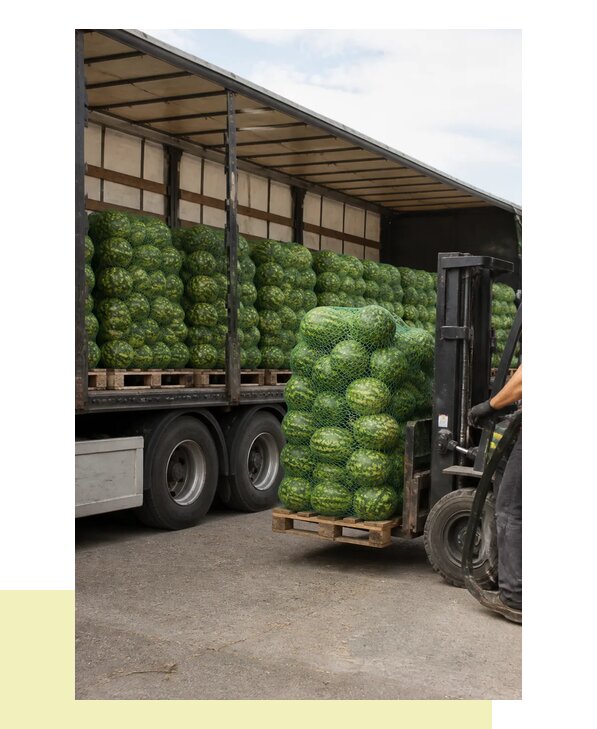 Перевозка арбузов оптом с доставкой в Волгоград из регионов